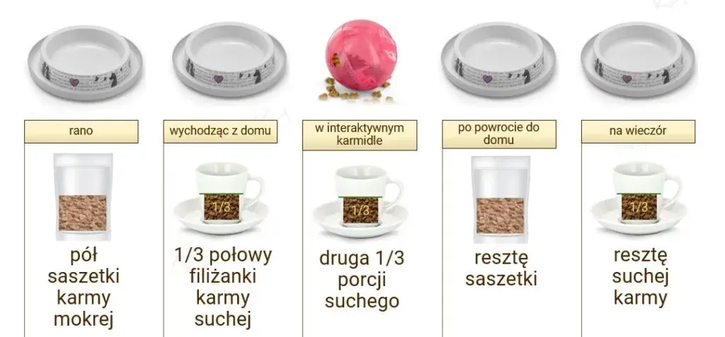 Ile gram karmy dla kota podawać: sprawdzona dawka na każdy dzień