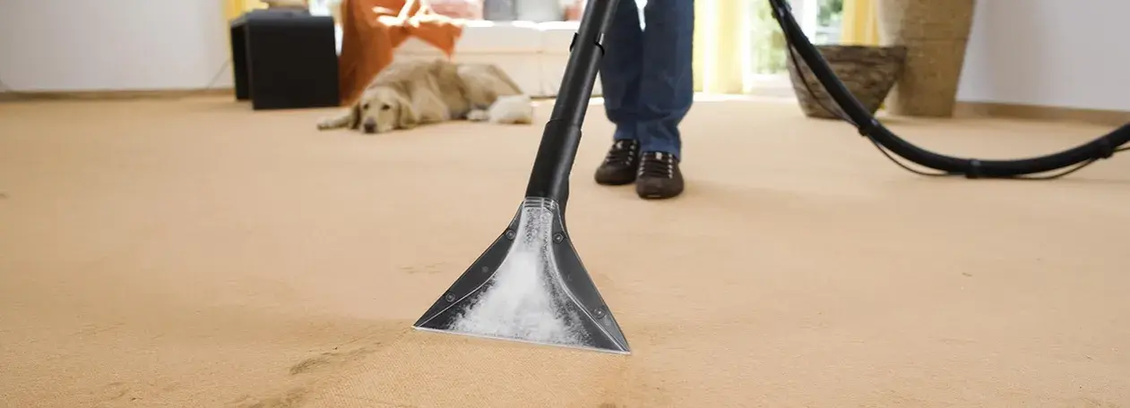 Jak stosować karcher rm 770 do skutecznego czyszczenia dywanów?