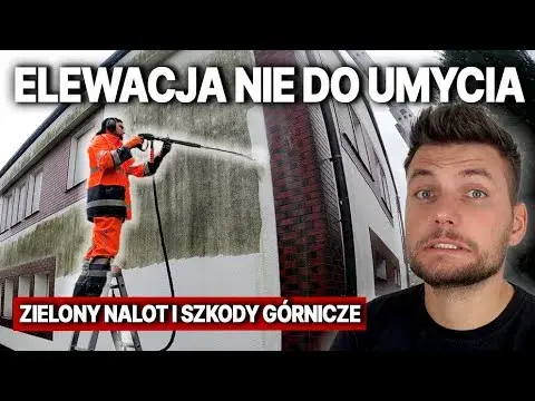 Jak skutecznie usunąć zielony nalot z elewacji – sprawdzone metody i porady