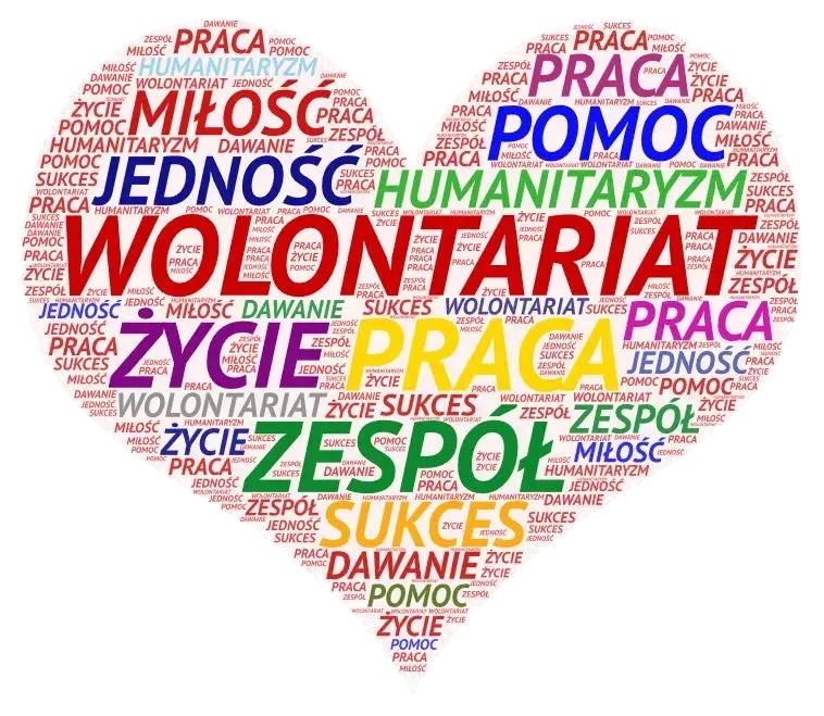 7 najważniejszych cech wolontariusza - jakie są i jak je rozwinąć?