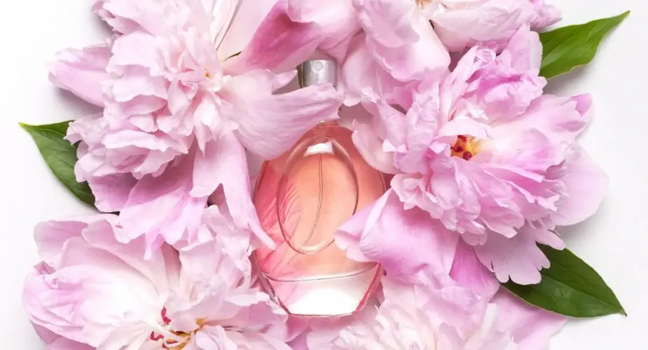 Perfumy z piwonią - Najlepsze zapachy dla miłośników kwiatowych nut