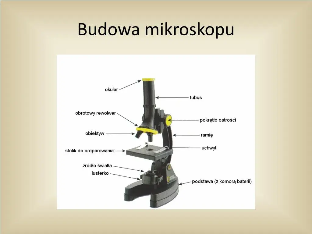 Obiektyw mikroskopu: tajemnice precyzyjnego powiększania świata mikroskali