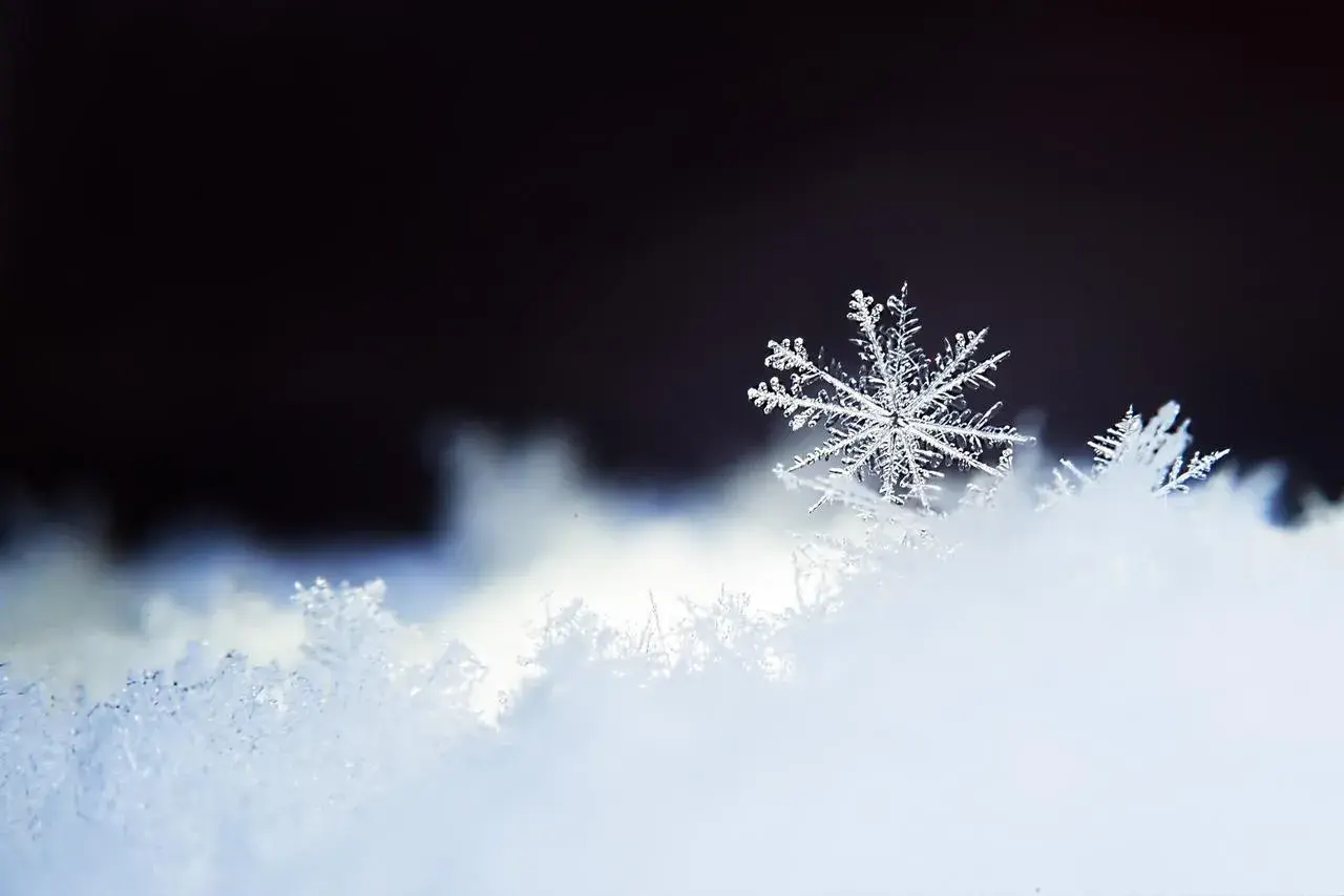 Flocon de neige Comprendre sa formation et son rôle climatique — free download