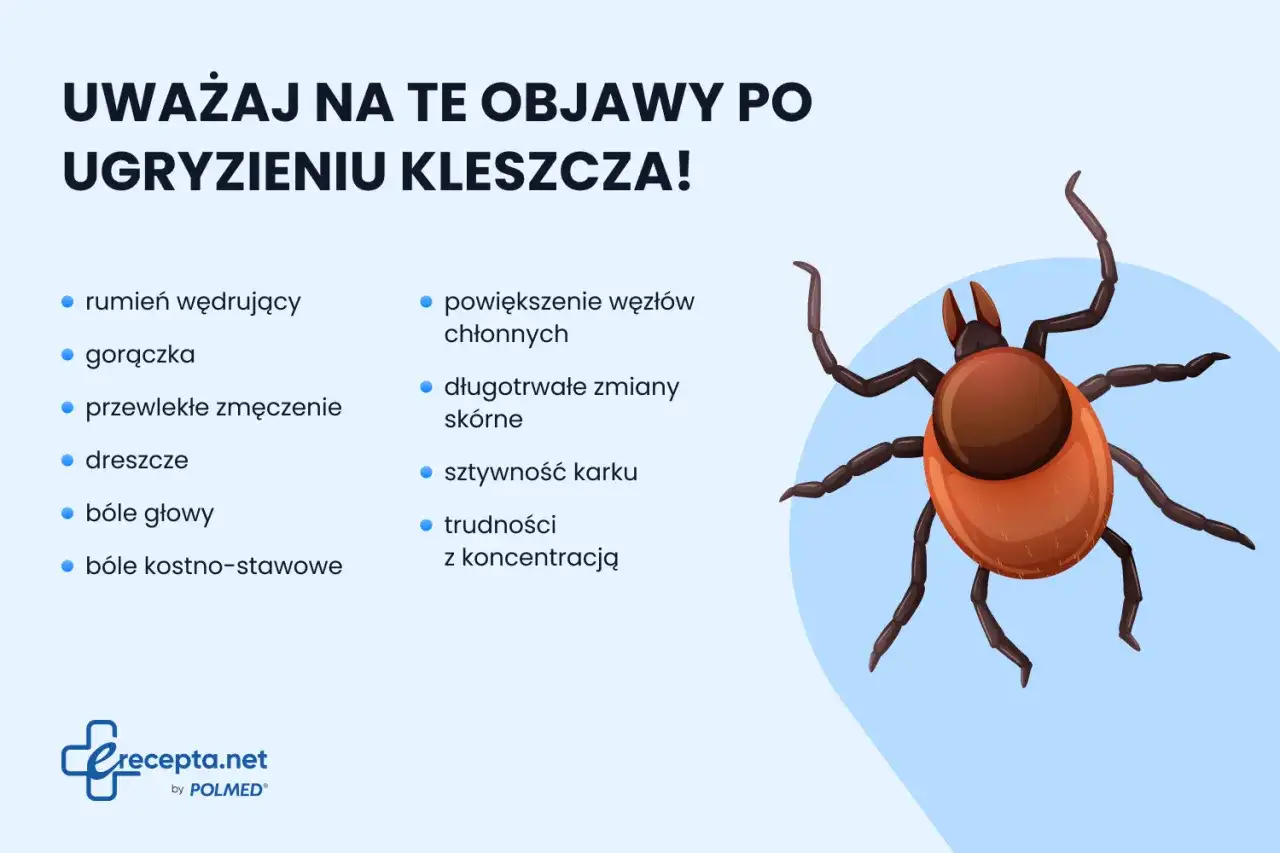 Ugryzienie kleszcza: objawy boreliozy i KZM. Sprawdź, co robić!