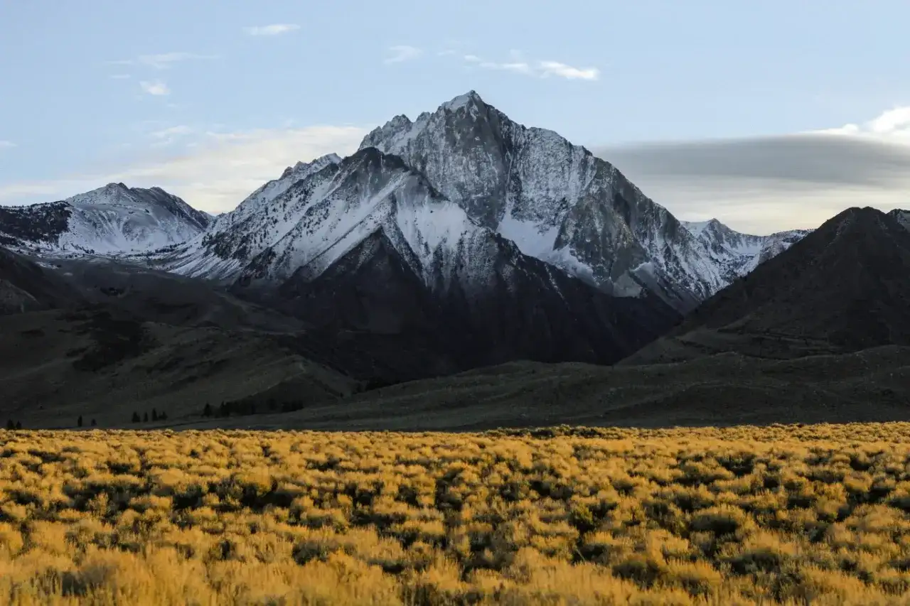 Ośnieżone szczyty górskie nad złotą trawą. Obraz ukazuje skutki zmian klimatycznych dla przetrwania sanktuariów wysokogórskich, gdzie topniejący śnieg zagraża unikalnym ekosystemom.
