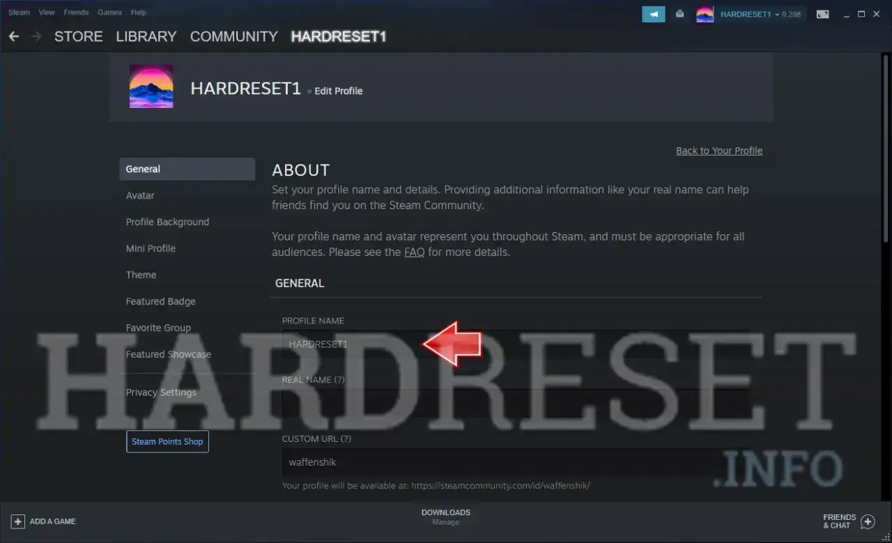 Edycja profilu Steam. Szukasz fajne nicki na Steam? Tutaj możesz zmienić swój nick, avatar i inne dane profilowe.