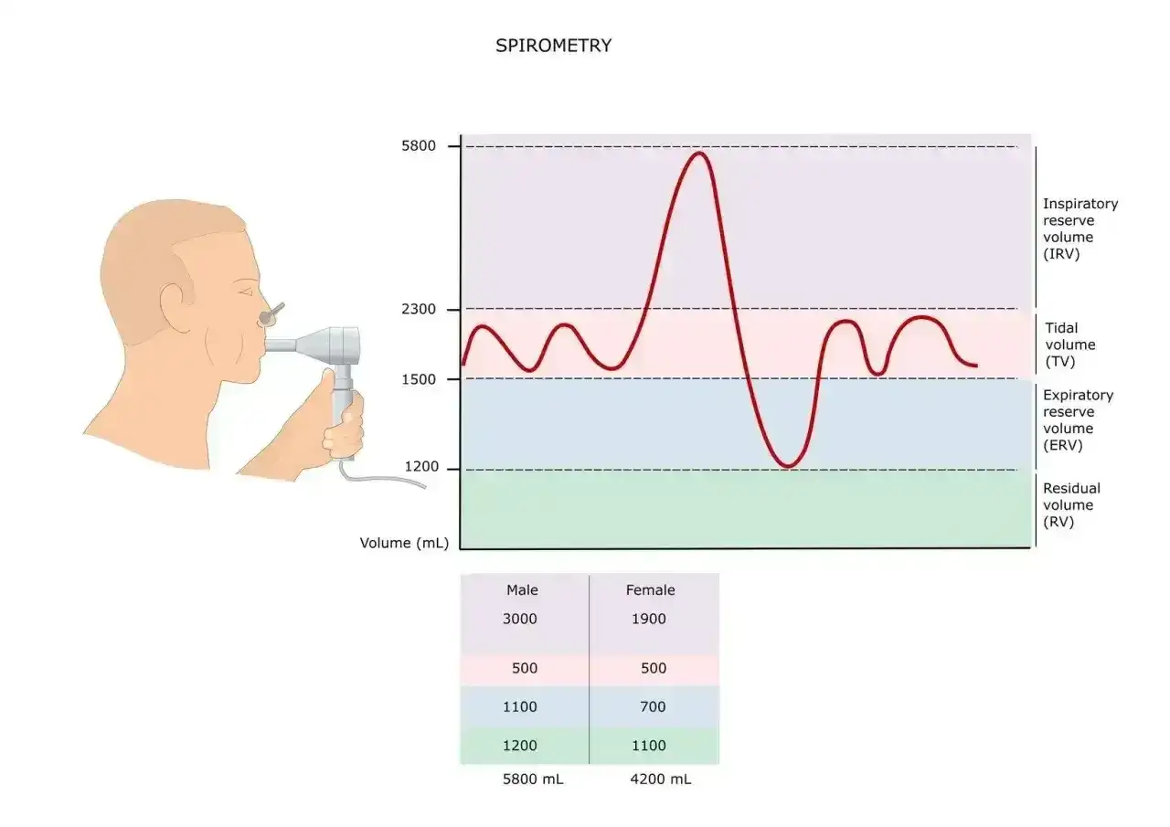 Graficzna prezentacja badania spirometria: człowiek z ustnikiem, krzywa objętości oddechowej i dane.