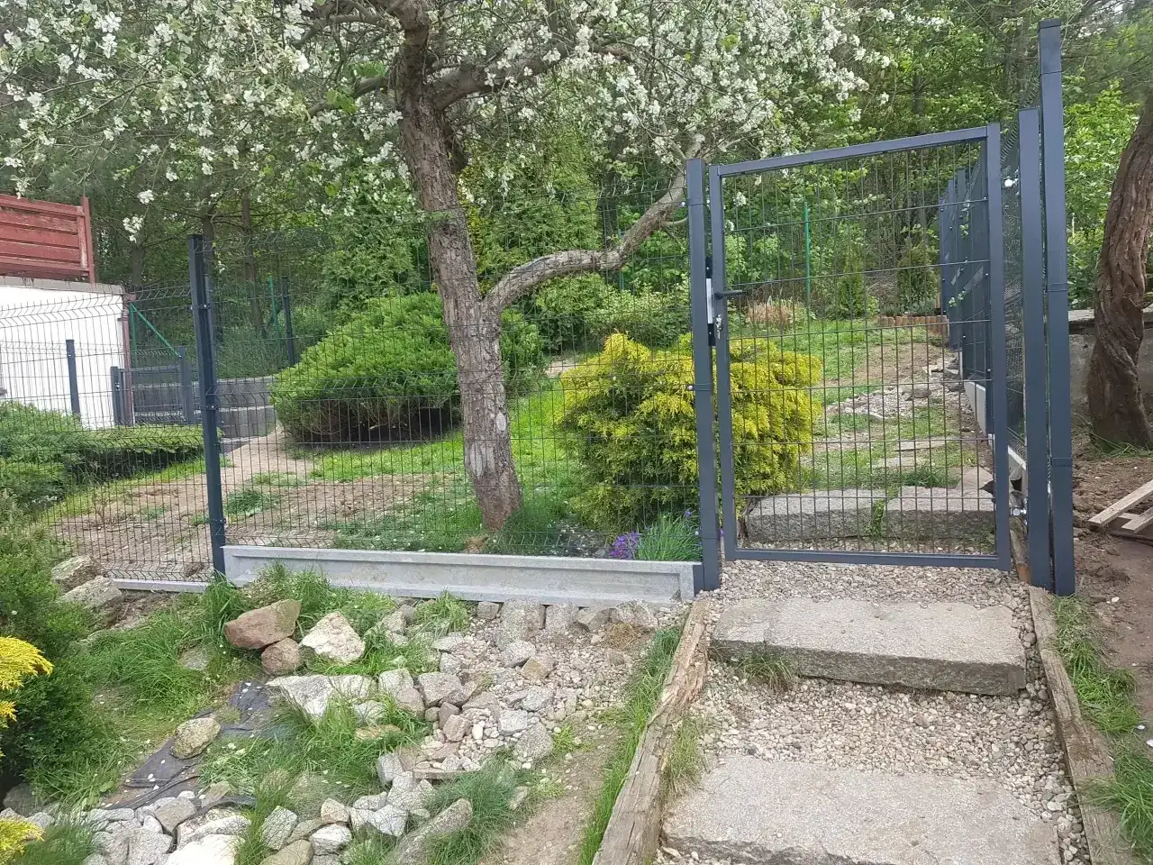 Nowe ogrodzenie z furtką, prawdopodobnie 120 cm wysokości, otacza zielony ogród z kwitnącym drzewem.