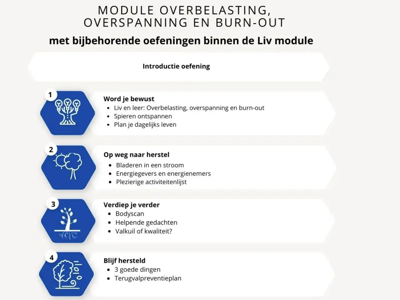 Stappenplan voor energie in balans: bewustwording, herstel, verdieping en behoud. Oefeningen voor overbelasting, overspanning en burn-out.