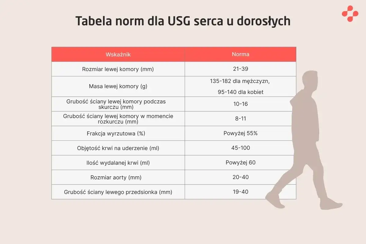 Tabela norm dla USG serca u dorosłych, prezentująca najdokładniejsze badanie serca. Wskazuje wymiary, masę i grubości ścian serca, frakcję wyrzutową, objętość krwi oraz rozmiar aorty.