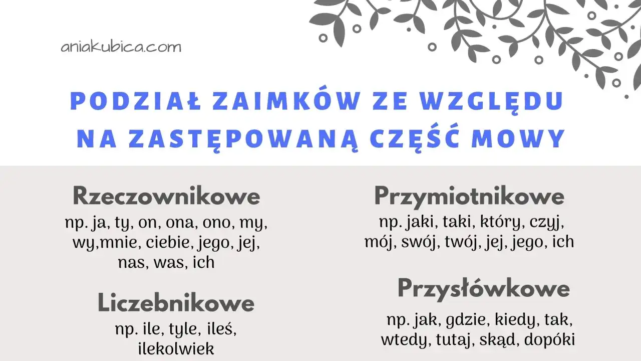 Podział zaimków ze względu na zastępowaną część mowy: rzeczownikowe (ja, ty), przymiotnikowe (jaki, mój), liczebnikowe (ile) i przysłówkowe (jak, gdzie).