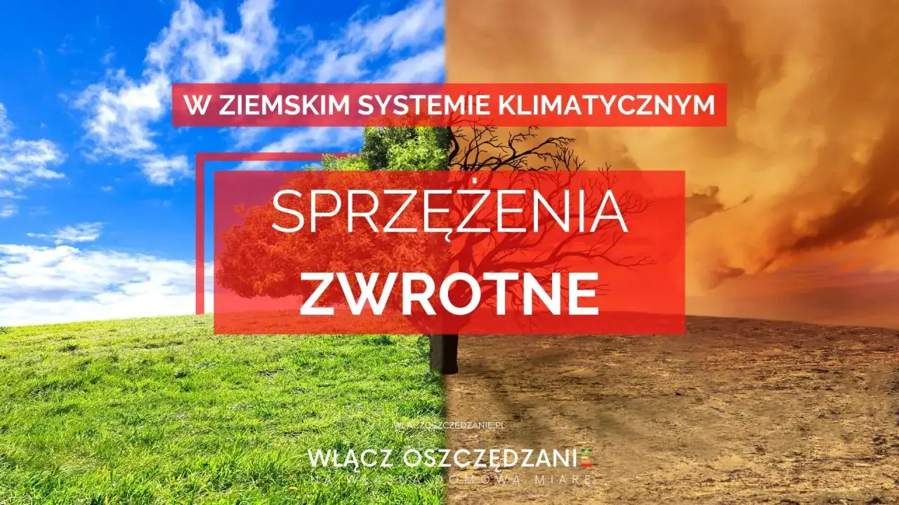 W ziemskim systemie klimatycznym zachodzą sprzężenia zwrotne. Obraz pokazuje kontrast między zieloną, żyzną ziemią a suchą, spękaną pustynią.