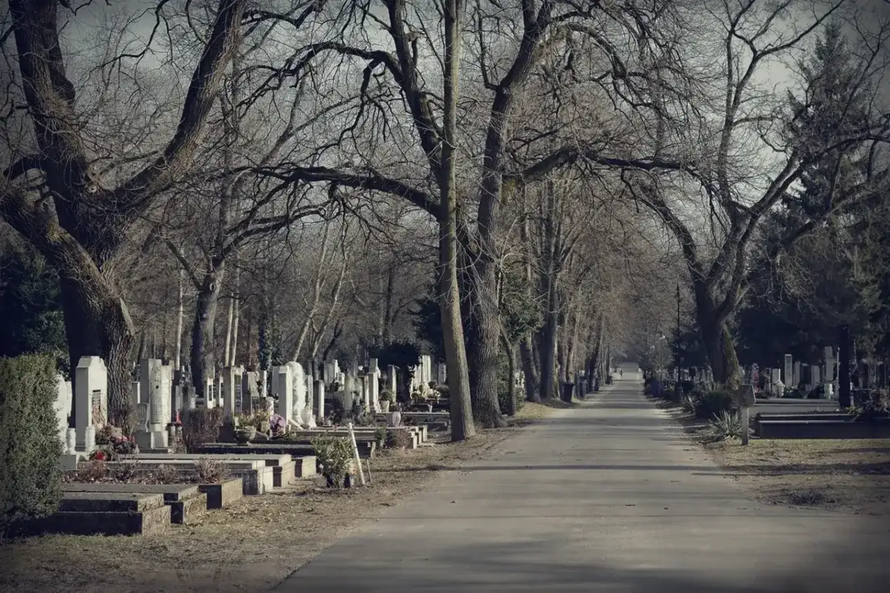 Aleja na cmentarzu z nagrobkami po bokach i drzewami bez liści.