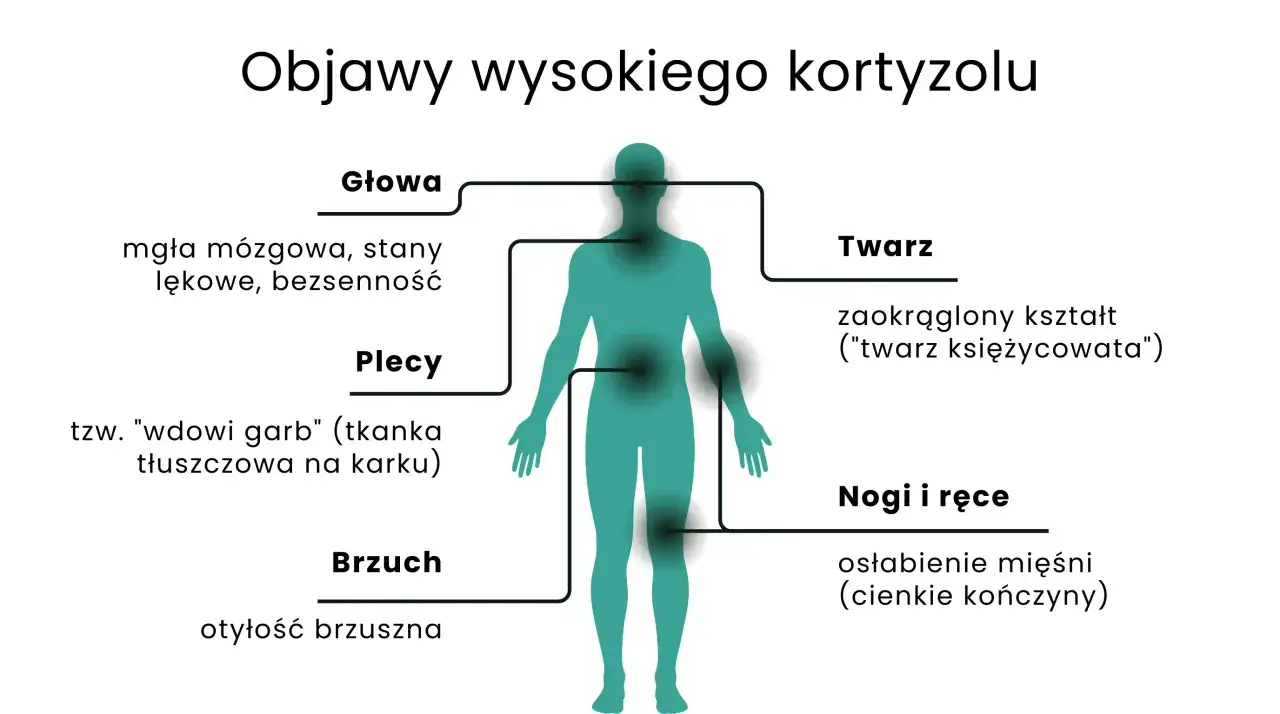 Objawy wysokiego kortyzolu: mgła mózgowa, "twarz księżycowata", garb, otyłość brzuszna, osłabienie mięśni.