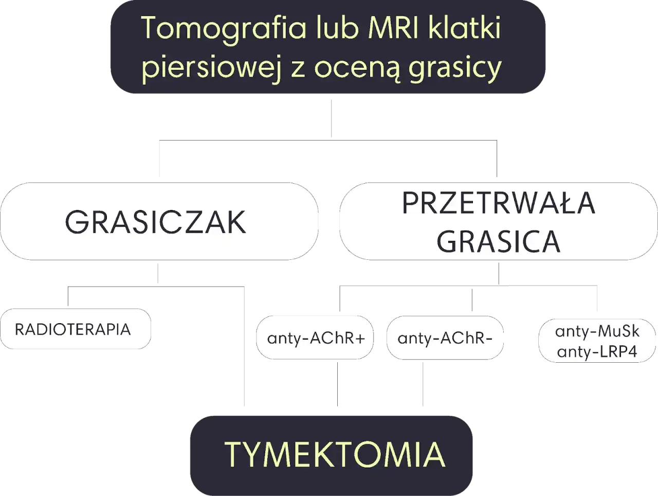Schemat diagnostyki i leczenia miastenii: grasiczak, przetrwała grasica, radioterapia, tymektomia, przeciwciała anty-AChR, anty-MuSk, anty-LRP4.