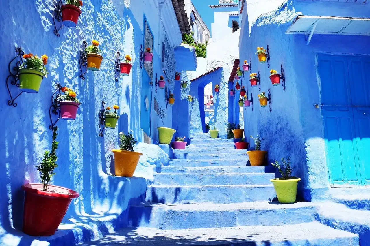 Kolorowe donice z kwiatami zdobią niebieskie schody w Maroku. To miejsce, które warto zobaczyć, by poczuć magię Chefchaouen.