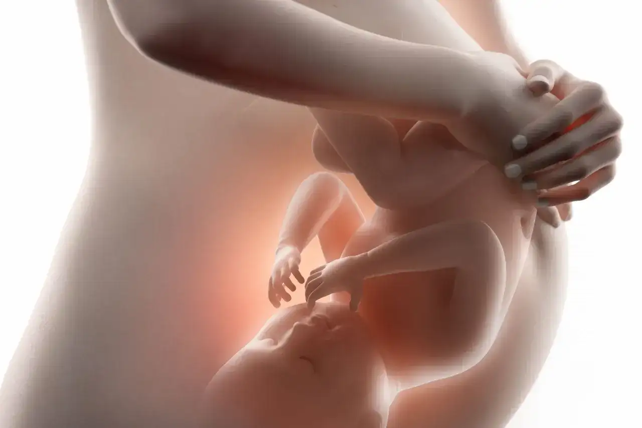 Dziecko w łonie matki, przygotowujące się do pierwszego oddechu. Delikatne ruchy, jak dziecko oddycha w brzuchu, czuć przez skórę.