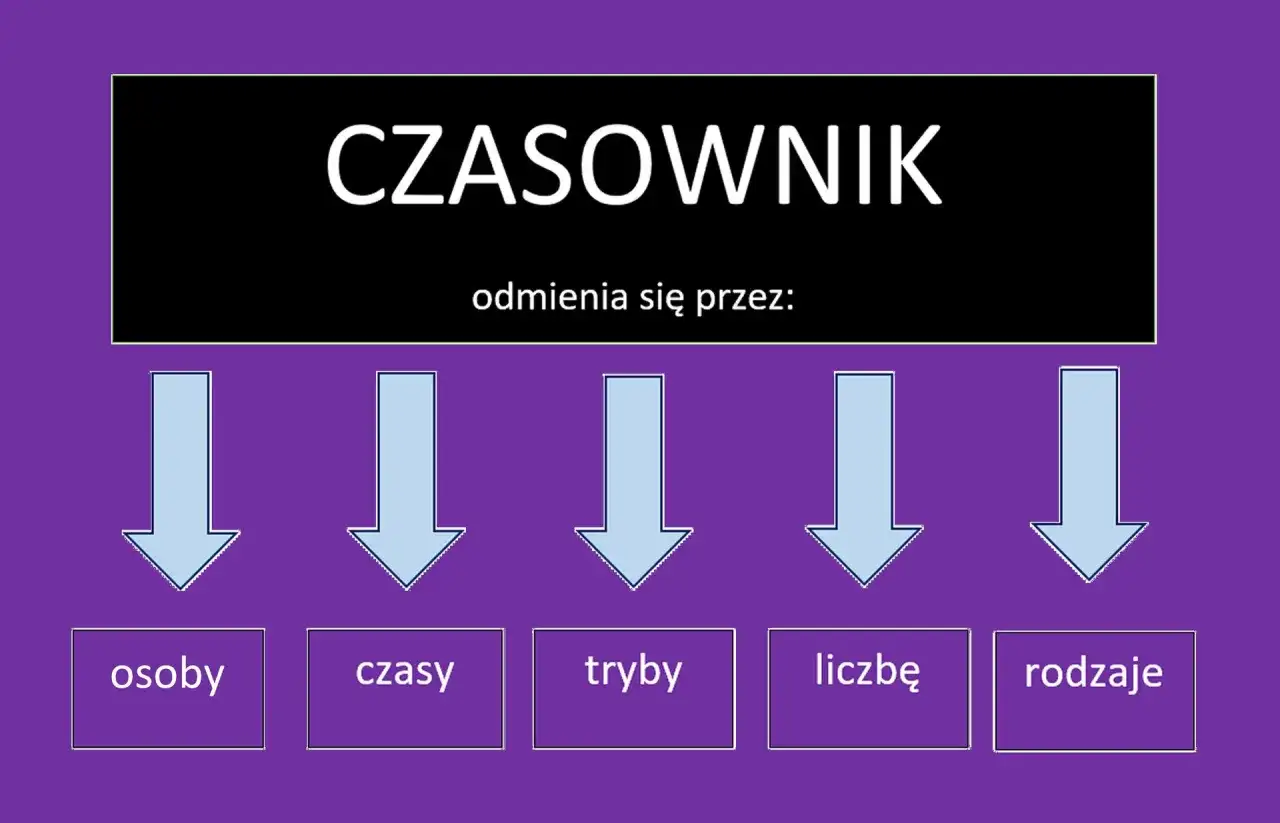 Diagram wyjaśnia, jak odmienia się czasownik: przez osoby, czasy, tryby, liczbę i rodzaje.