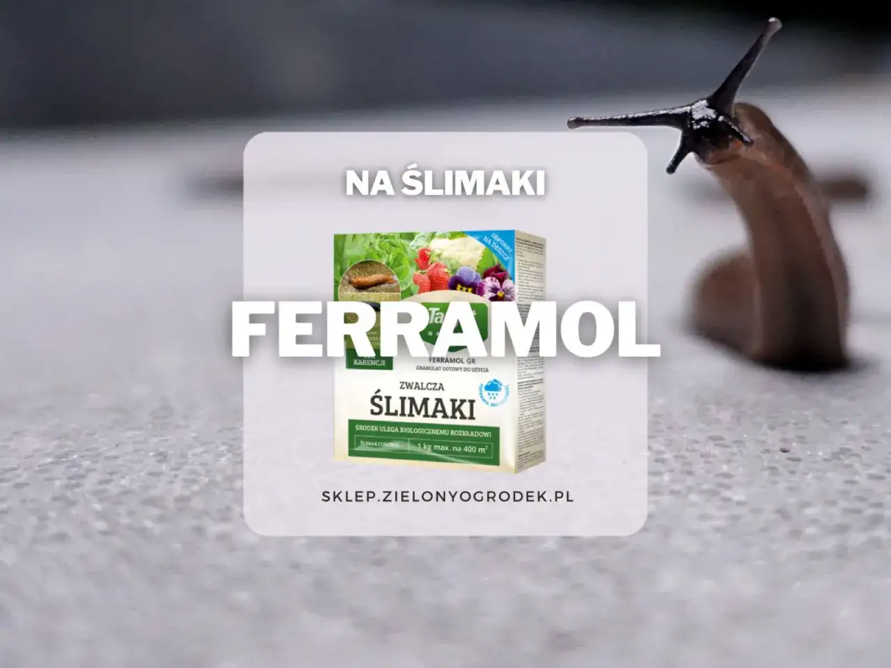 Ferrramol - fosforan żelaza na ślimaki. Granulat skutecznie zwalcza ślimaki, ulegając biodegradacji. Chroni rośliny.