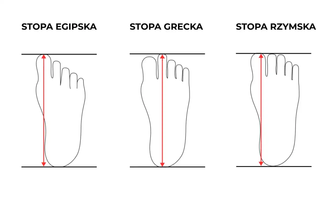 Trzy typy stóp: egipska, grecka i rzymska. Stopa rzymska ma wszystkie palce równej długości.