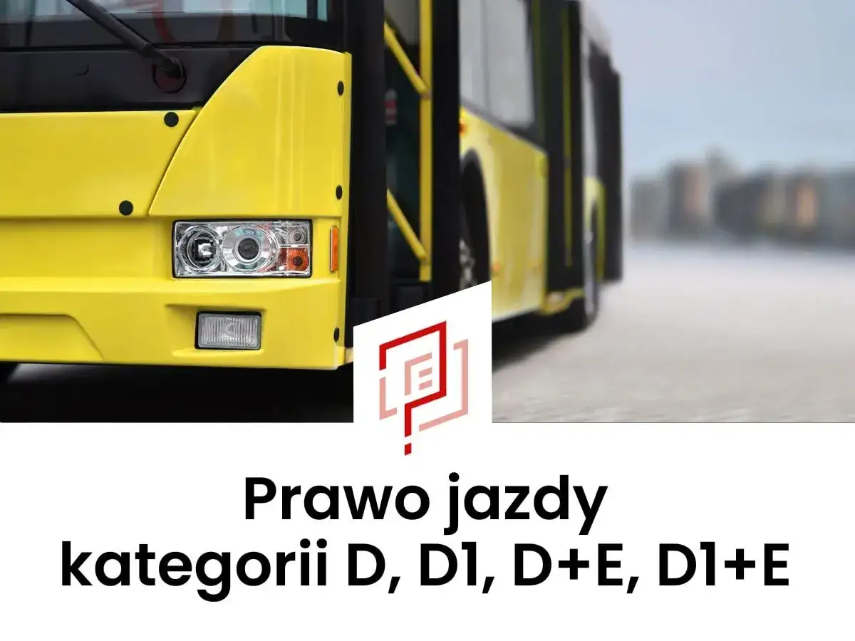 Żółty autobus, symbol prawa jazdy kategorii D, D1, D+E, D1+E.