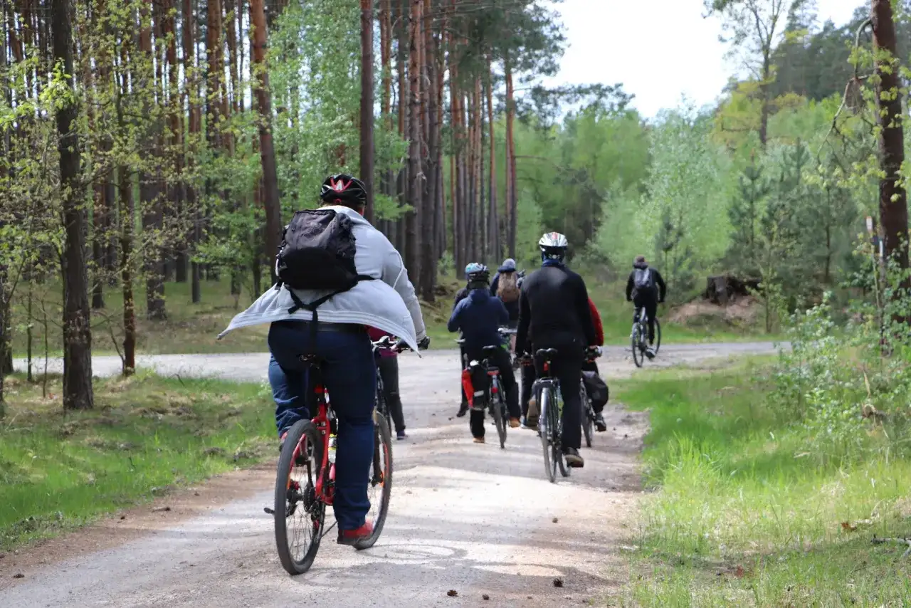 Grupa rowerzystów w lesie. Zastanawiasz się, ile kalorii spalisz na 25 km na rowerze?