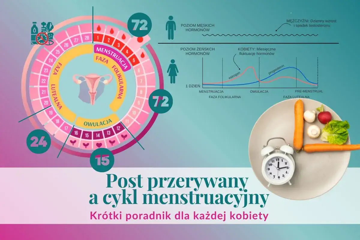 Post przerywany a cykl menstruacyjny: schemat cyklu, wykresy hormonów i talerz z warzywami. Krótki poradnik dla każdej kobiety.