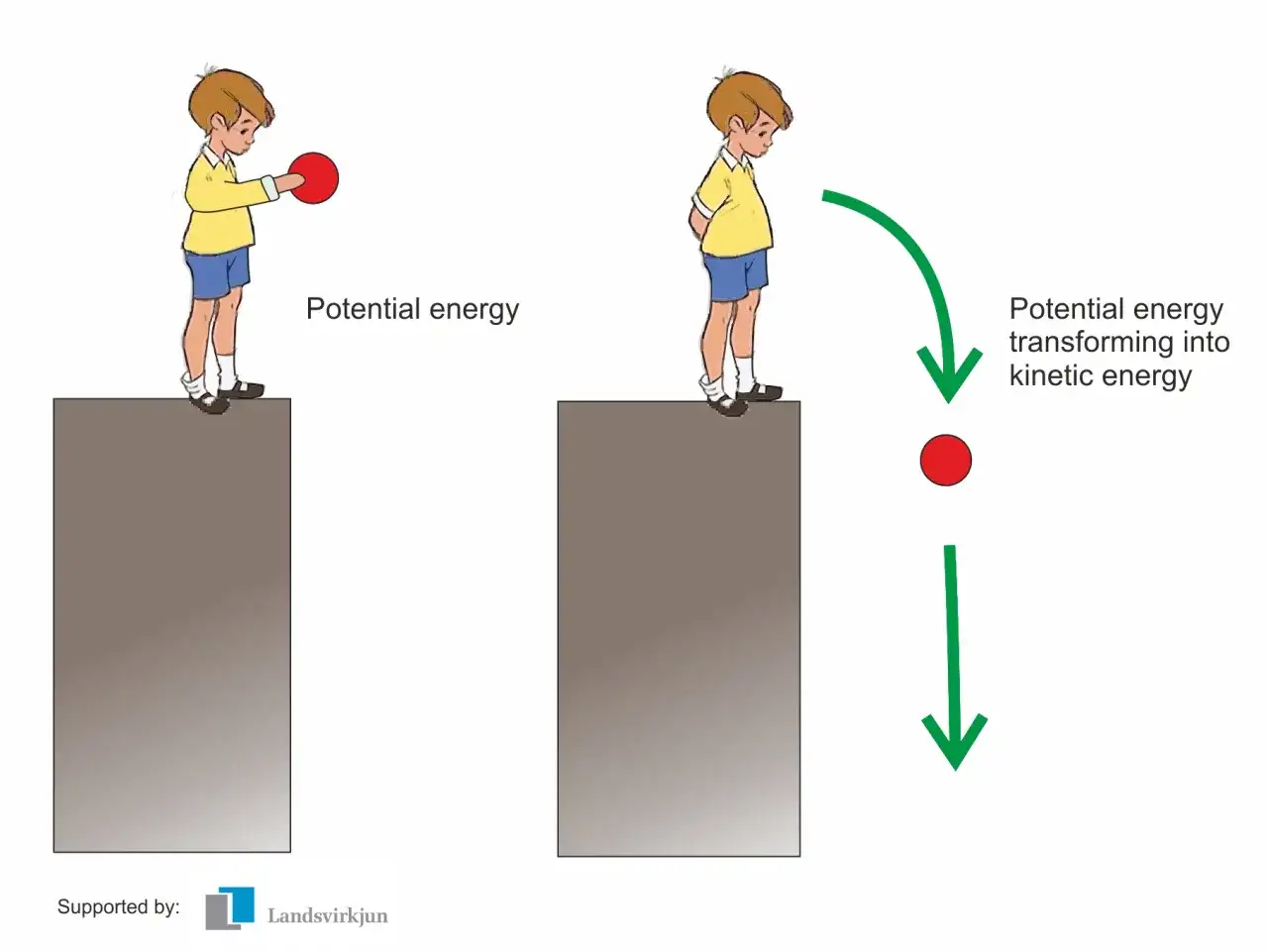 Chłopiec trzyma piłkę, która ma energię potencjalną. Po upuszczeniu piłka spada, a energia potencjalna zamienia się w kinetyczną.