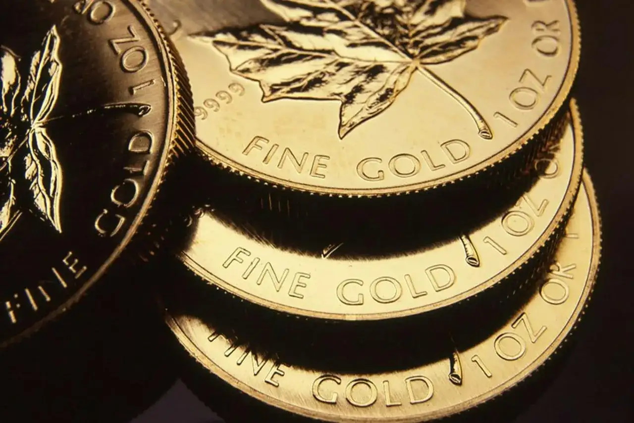 Stos złotych monet z liściem klonu i napisem "FINE GOLD".