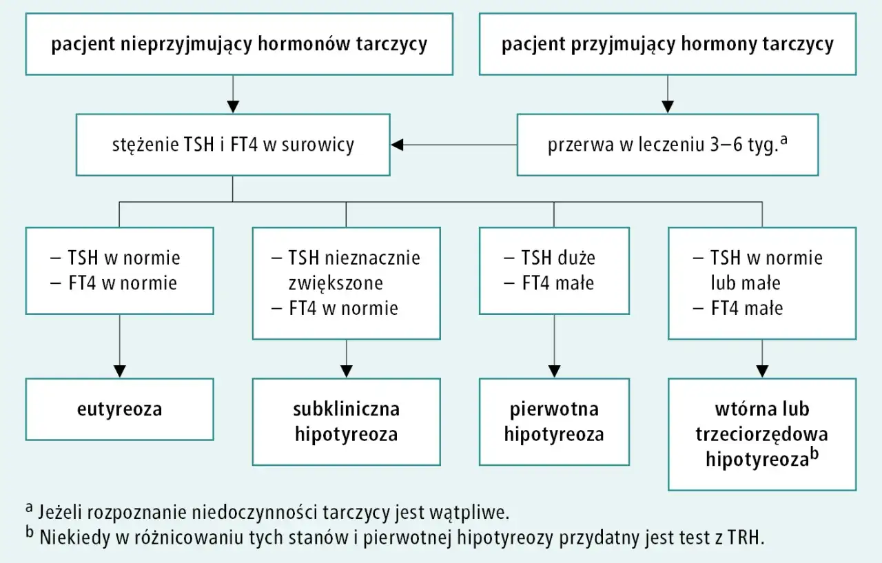 Schemat diagnostyki niedoczynności tarczycy. Czy przed badaniem TSH brać Euthyrox? Pacjent przyjmujący hormony tarczycy powinien zrobić przerwę w leczeniu.