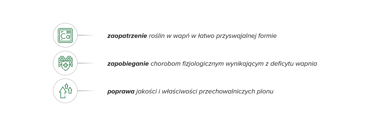 Wapnovit Turbo dawkowanie: zaopatrzenie roślin w wapń, zapobieganie chorobom i poprawa jakości plonu.