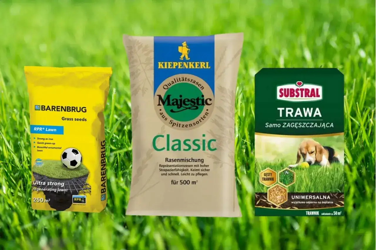 Trzy opakowania nasion traw: Barenbrug, Kiepenkerl i Substral, na tle zielonej trawy.