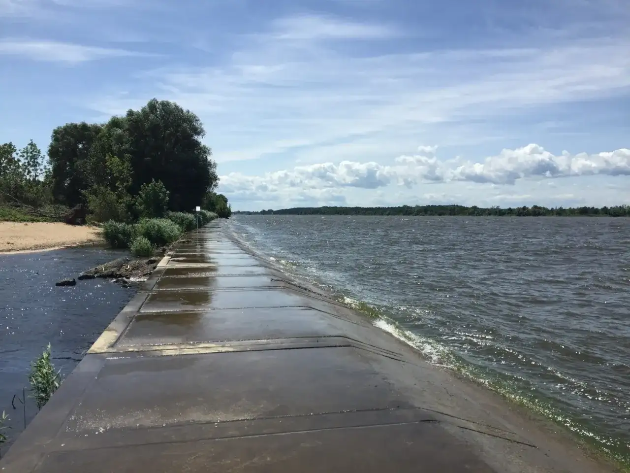 Betonowa ścieżka wzdłuż falującej wody, z piaszczystym brzegiem i drzewami po lewej. To malownicze ujście Wisły.
