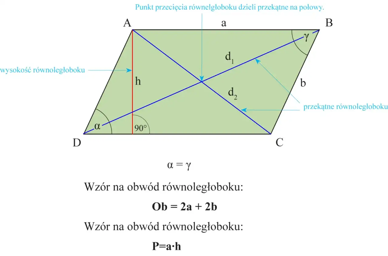 Ilustracja przedstawia równoległobok z zaznaczonymi bokami, przekątnymi, wysokością i kątami. Podano wzory na obwód i pole.