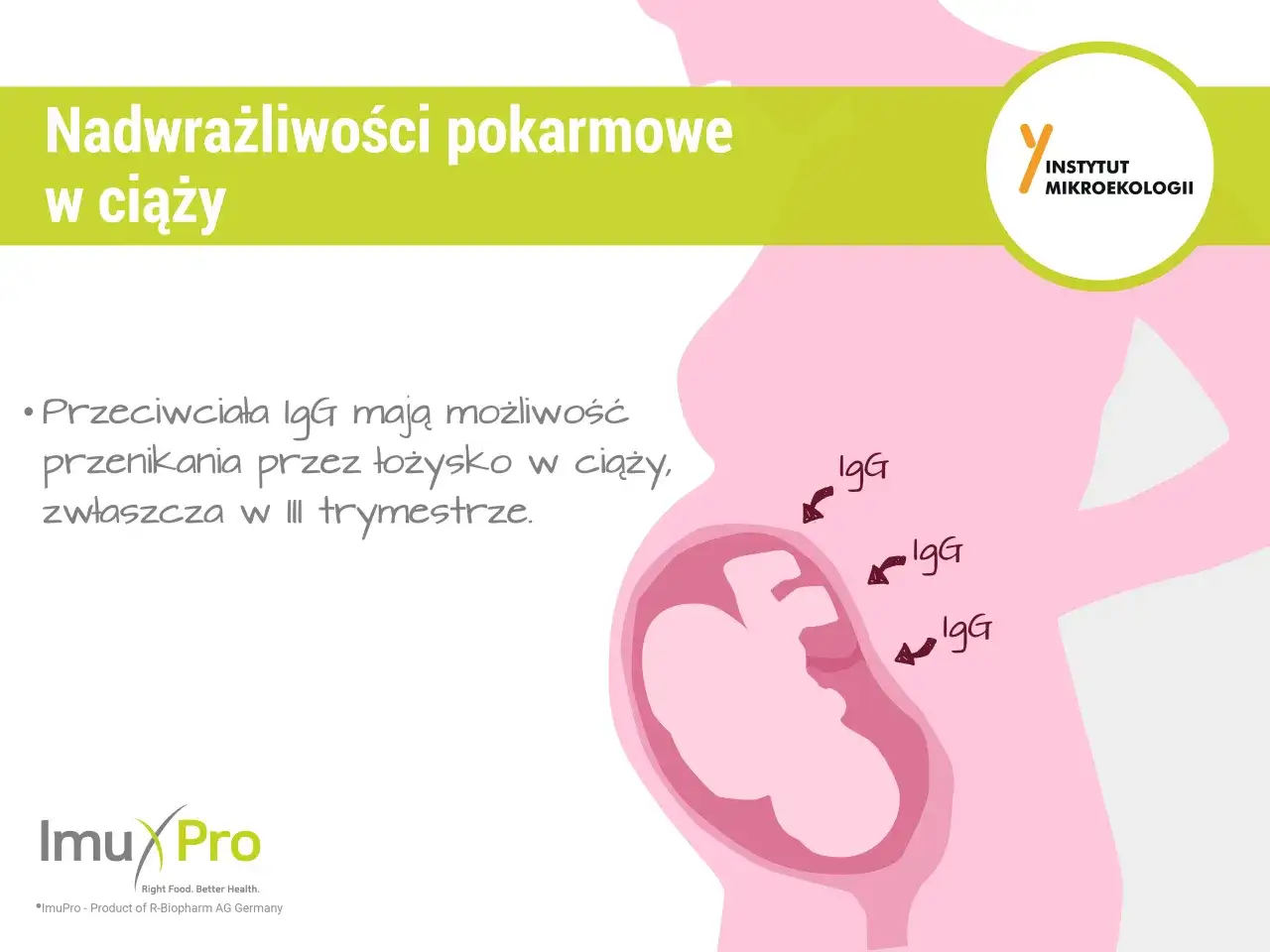 Ilustracja przedstawia ciążę i podkreśla, że przeciwciała IgG mogą przenikać przez łożysko, co jest istotne w kontekście nadwrażliwości pokarmowych w ciąży.
