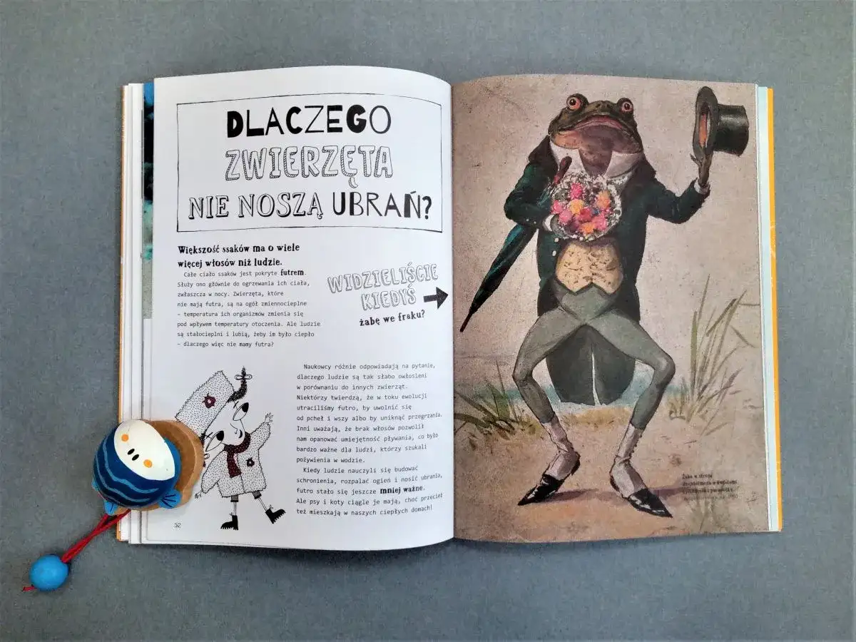 Ilustracja z książki o ichtiologii: żaba we fraku z bukietem kwiatów i kapeluszem. Obok tekst o futrze zwierząt.