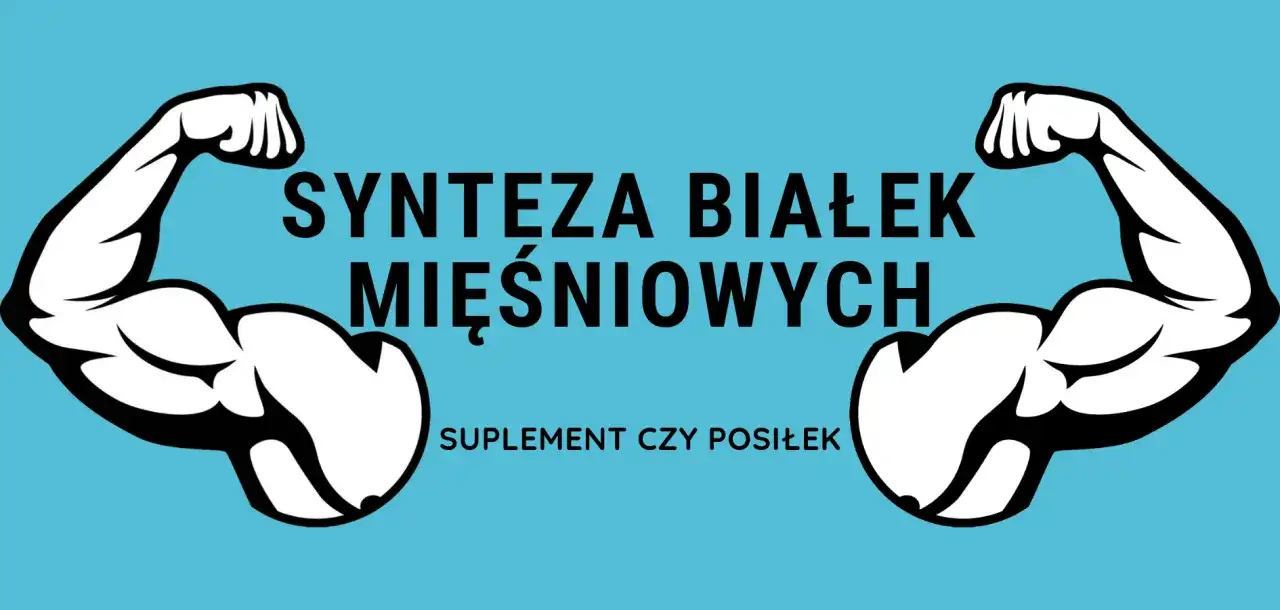 Dwa umięśnione ramiona symbolizują, jak wzmaga syntezę białek mięśniowych. Pytanie: suplement czy posiłek?