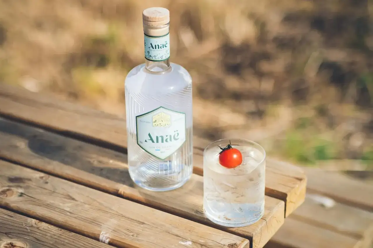 Butelka ginu Anaë i szklanka z lodem i pomidorkiem. Na etykiecie widnieje napis "GIN DE FRANCE BIO", ale dokładny gin ile procent nie jest widoczny.