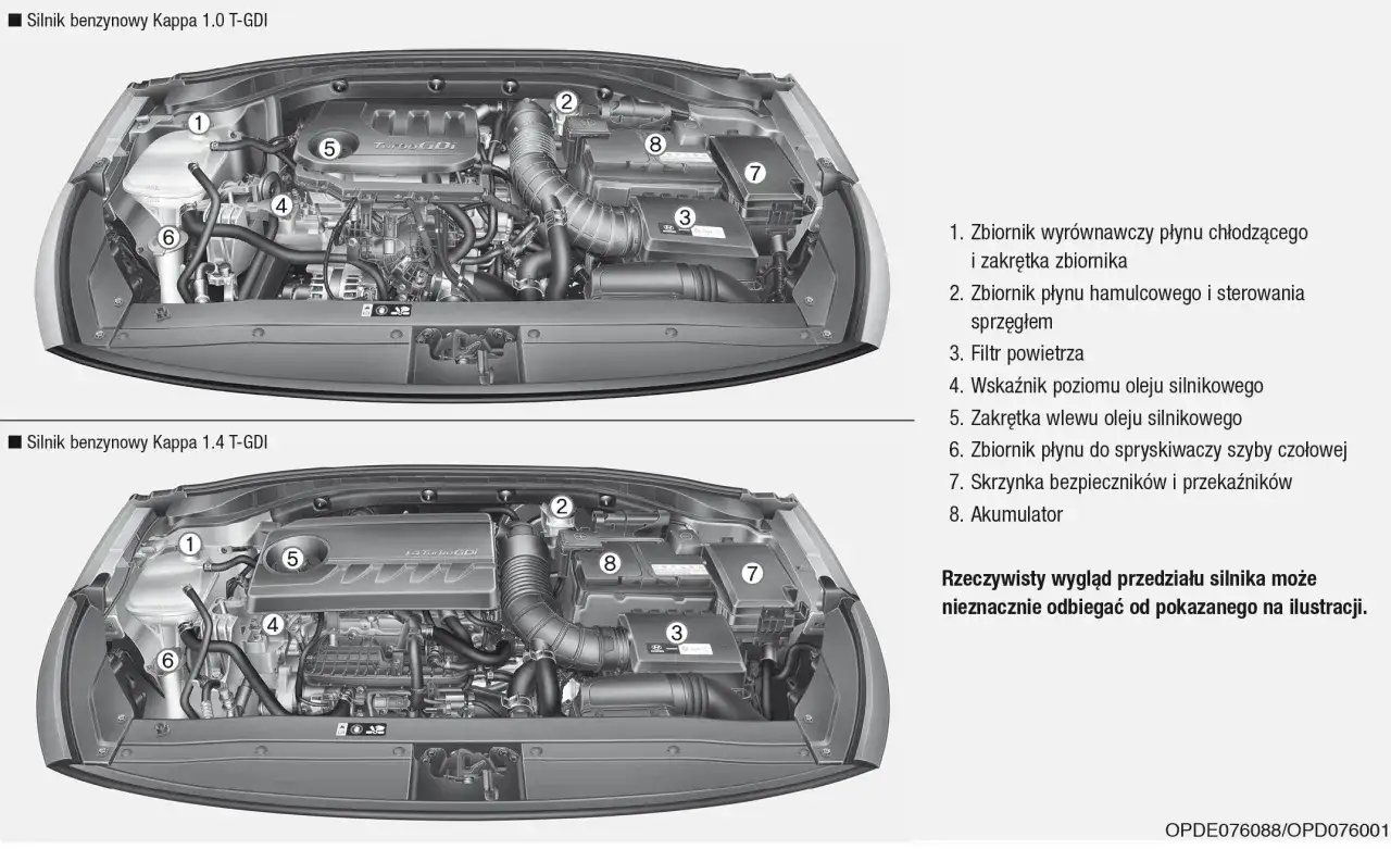 Pod maską Hyundai i30 1.4 benzyna: zbiornik płynu chłodzącego (1), hamulcowego (2), filtr powietrza (3), wskaźnik oleju (4), wlew oleju (5), zbiornik spryskiwaczy (6), skrzynka bezpieczników (7), akumulator (8).