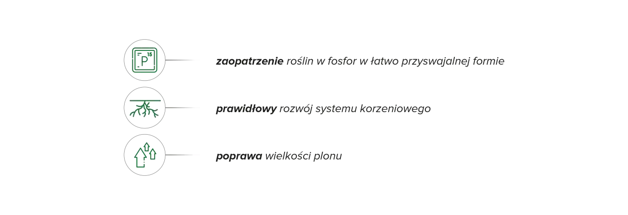 Fostar zapewnia roślinom fosfor, wspiera rozwój korzeni i poprawia wielkość plonu.