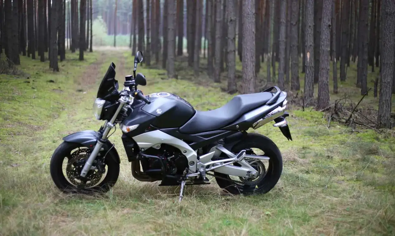 Suzuki GSR600 zaparkowany na leśnej ścieżce, otoczony sosnami.