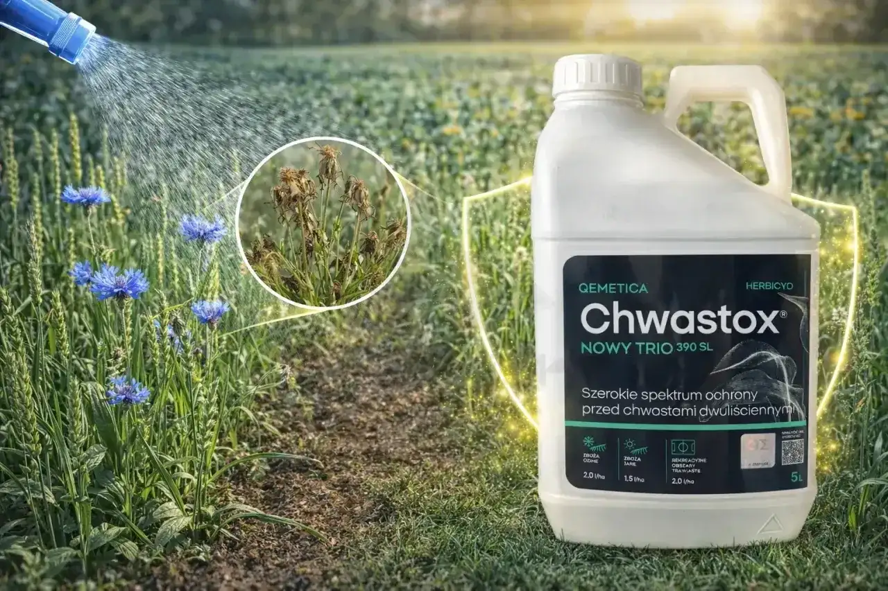 Chwastox Trio Nowy dawkowanie: oprysk zwalczający chwasty dwuliścienne, chroniący zboża i tereny zielone. Efektywna ochrona upraw.