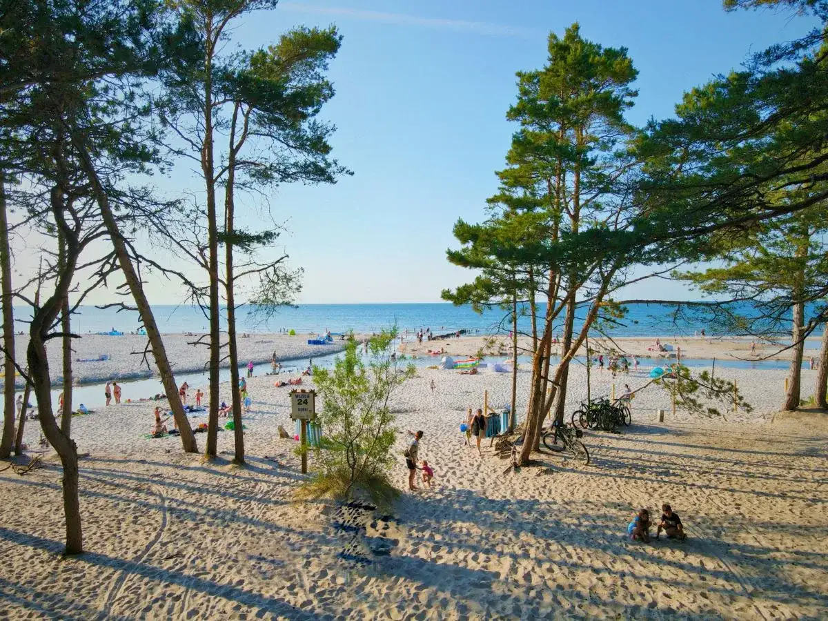Słoneczna dębki plaża z turystami, drzewami sosnowymi i strumieniem wpadającym do morza.