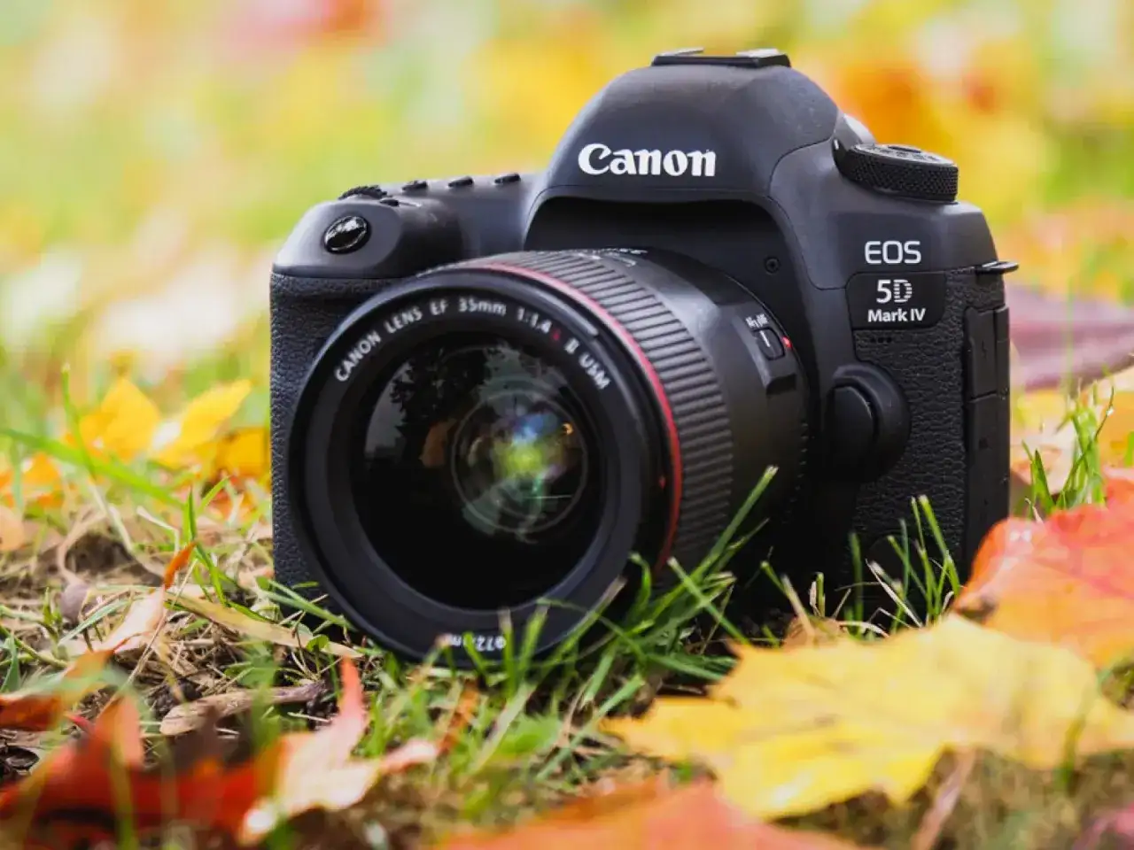 Canon EOS 5D Mark IV z obiektywem 35mm f/1.4 na tle jesiennych liści. Idealny sprzęt do uchwycenia piękna przyrody.