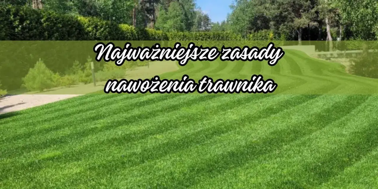Piękny, zielony trawnik to marzenie każdego. Poznaj najważniejsze zasady nawożenia trawnika, by cieszyć się jego bujnością przez cały rok.