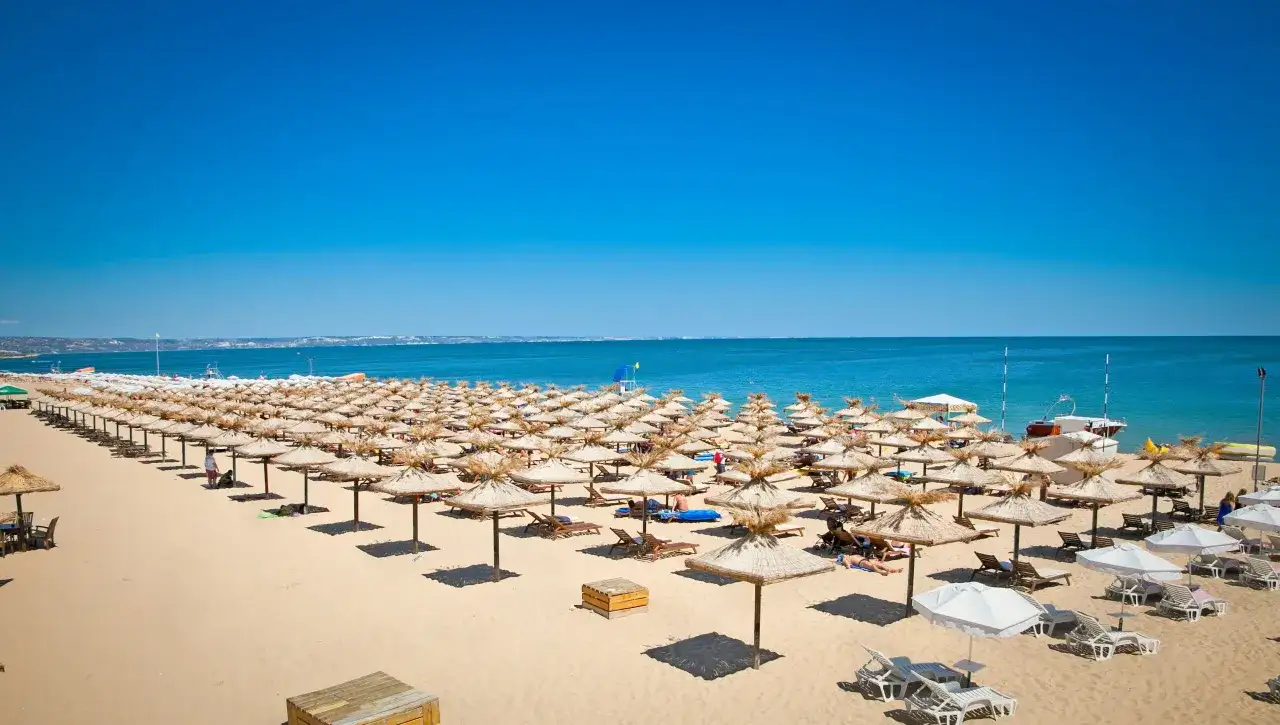 Słoneczny brzeg plaża z rzędami parasoli i leżaków, w tle błękitne morze i niebo.