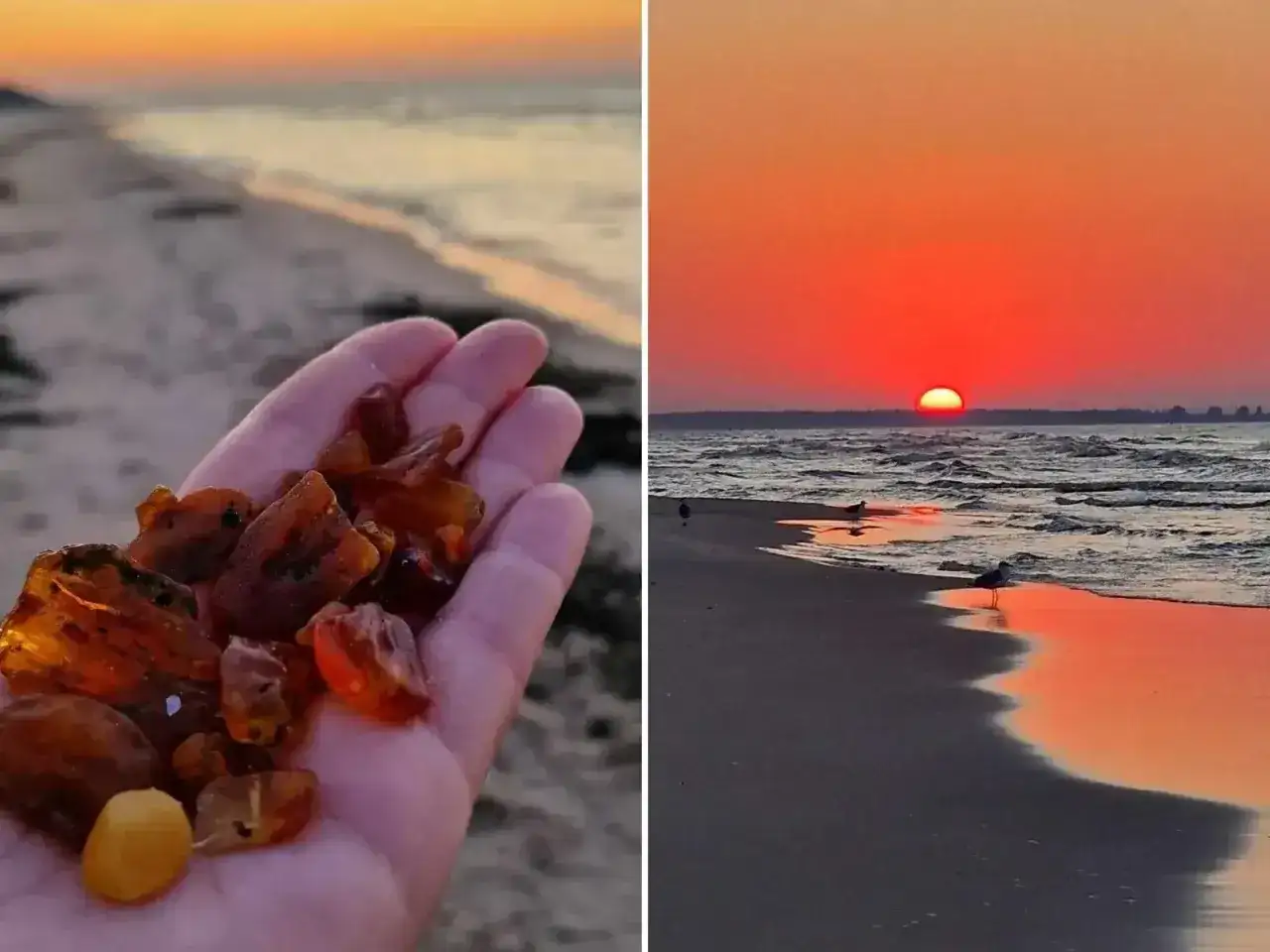 Zachód słońca nad morzem i garść bursztynów. Oto jak rozpoznać bursztyn na plaży – szukaj go po zmroku, gdy fale wyrzucą go na brzeg.