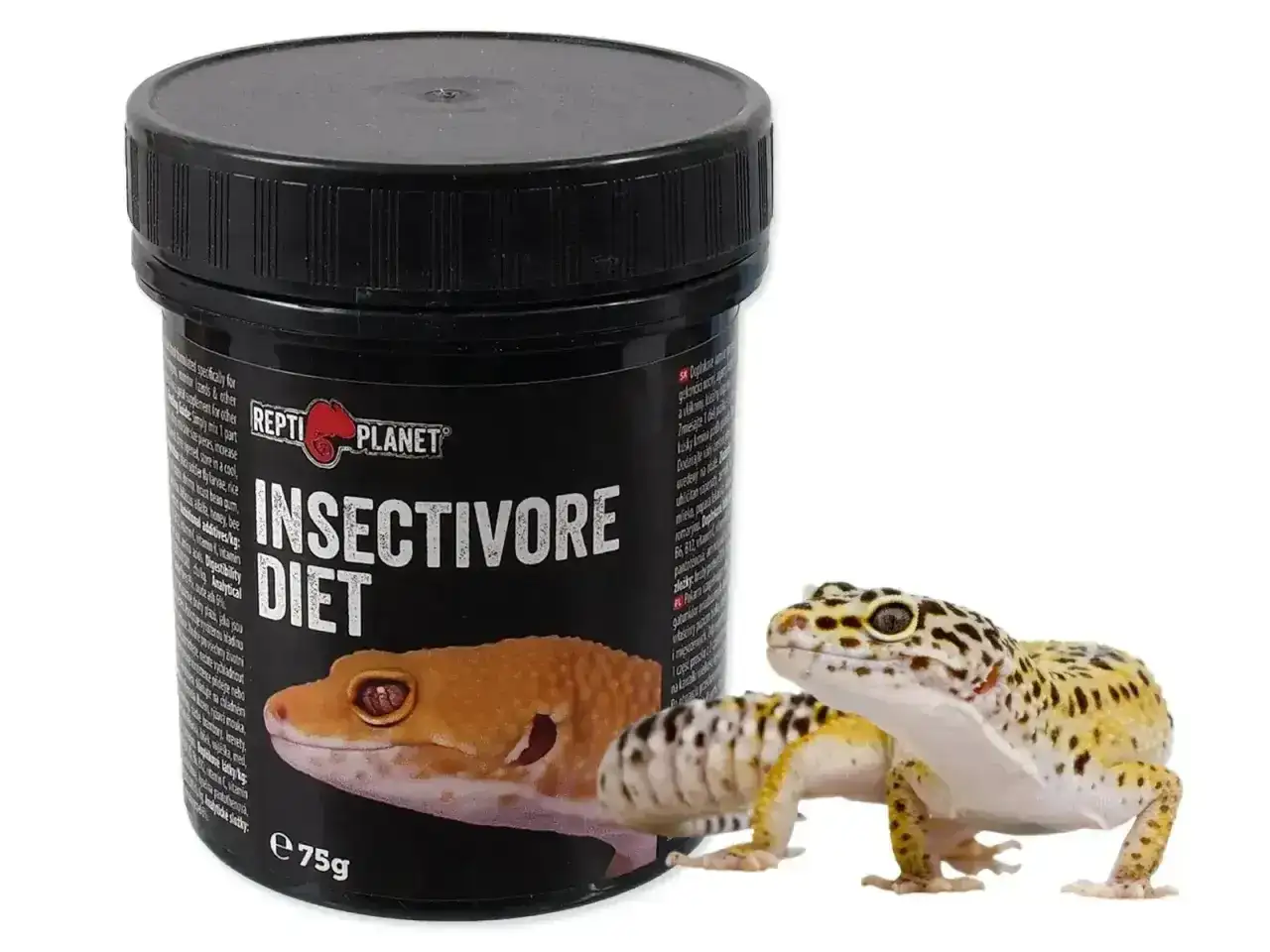 Gekon lamparci obok pojemnika z karmą "Insectivore Diet". To idealny pokarm dla każdego, kto chce wiedzieć, co je gekon.