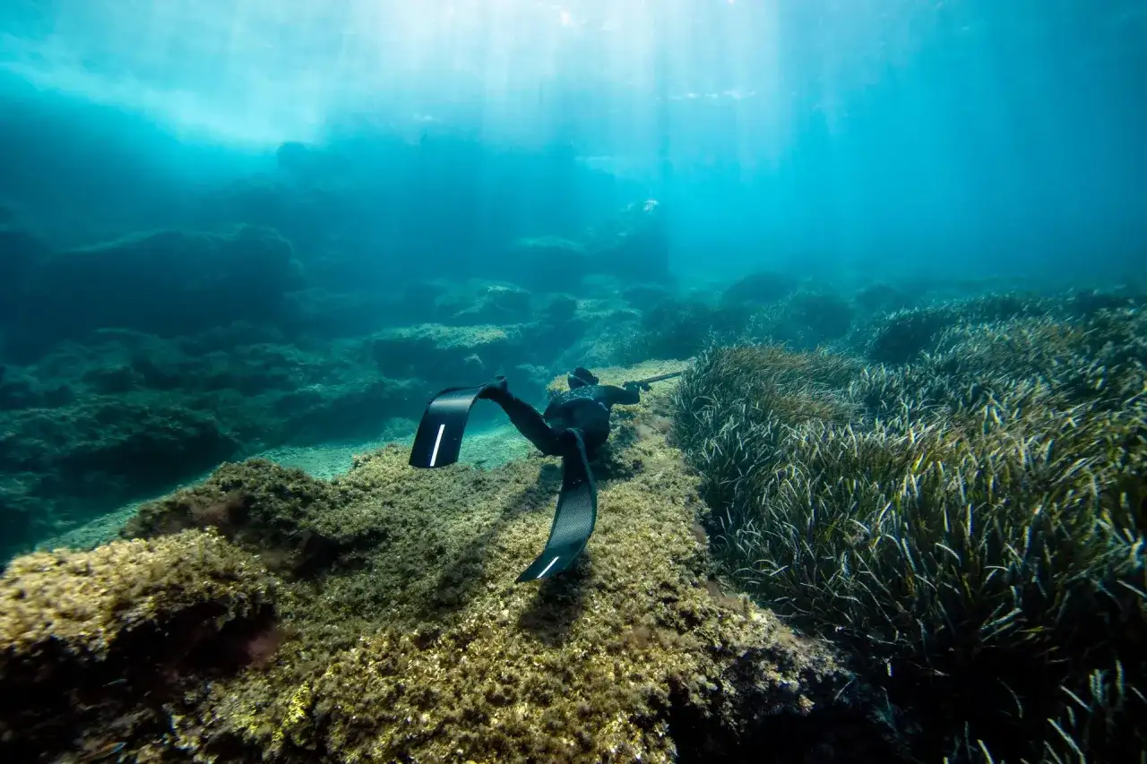 Nurkujący w czarnych płetwach, które świetnie nadają się do snorkelingu, eksploruje podwodny świat pełen skał i trawy morskiej.