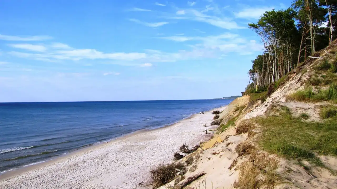 Piękna plaża i las na klifie, idealne orzechowo atrakcje dla miłośników przyrody.